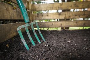 A Beginner’s Guide to Composting