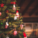 Keep Your Christmas Tree Fresh With These Helpful Tips