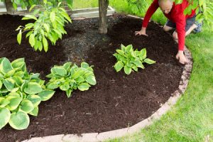 Spreading Mulch