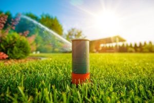 Lawn Sprinkler