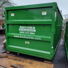 Back view of a green dumpster from Brother Tree Lawn Service