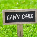 Watch Out for Lawn Problems that Arise in the Spring