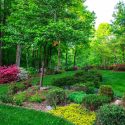 Importance of Landscaping in the Spring