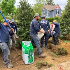 Brother Tree Lawn Service employees doing landscaping work