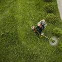 The Benefits of Professional Lawn Care: Why Brother Tree Lawn Service is Worth It